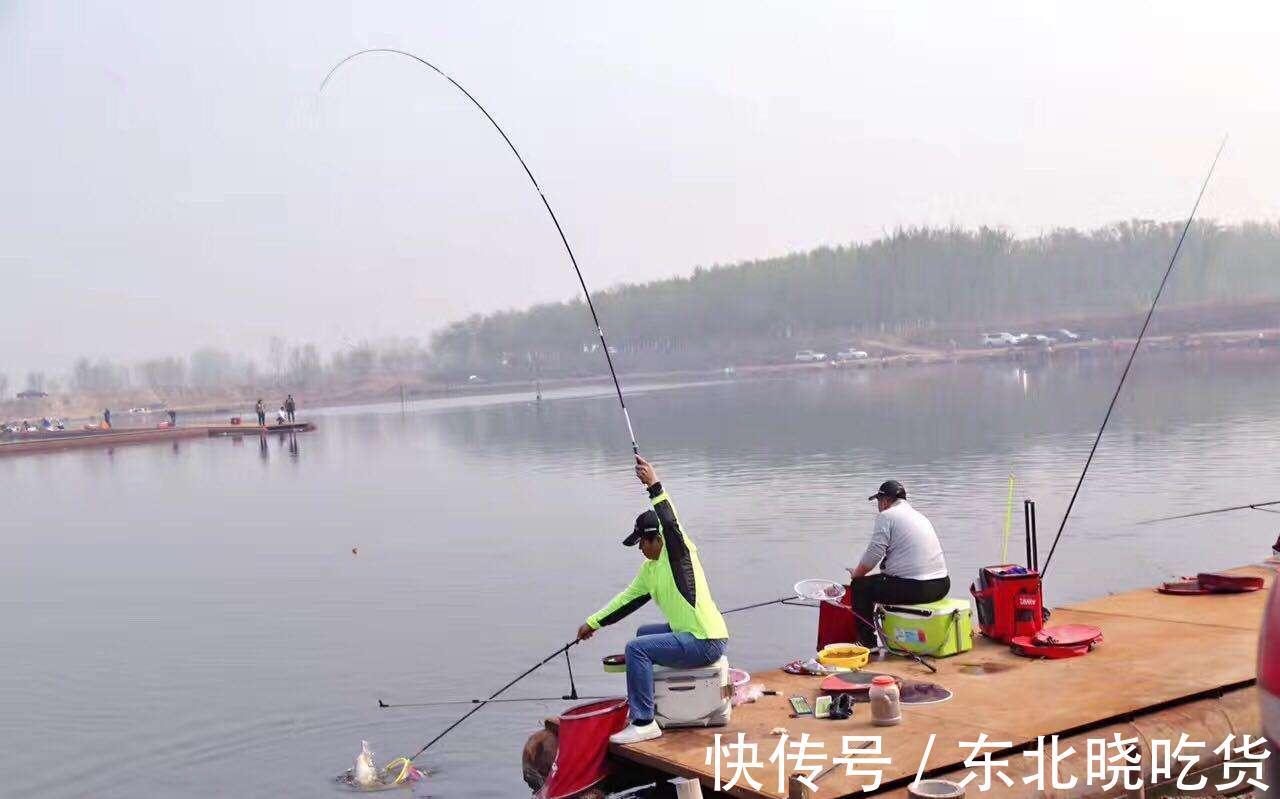 进窝迹象明显,鱼口却一直不好,到底是什么原因导致的