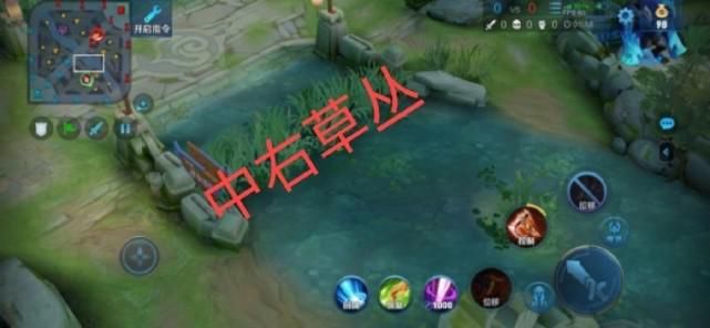 老虎|裴擒虎联名李小龙皮肤登场，即将迎来老虎峡谷！野区该如何反制？