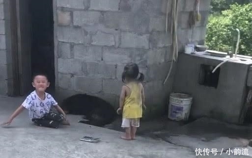 小女孩|萌娃下乡“放飞自我”火了,一旁的狗子:别看我,可不关我事!