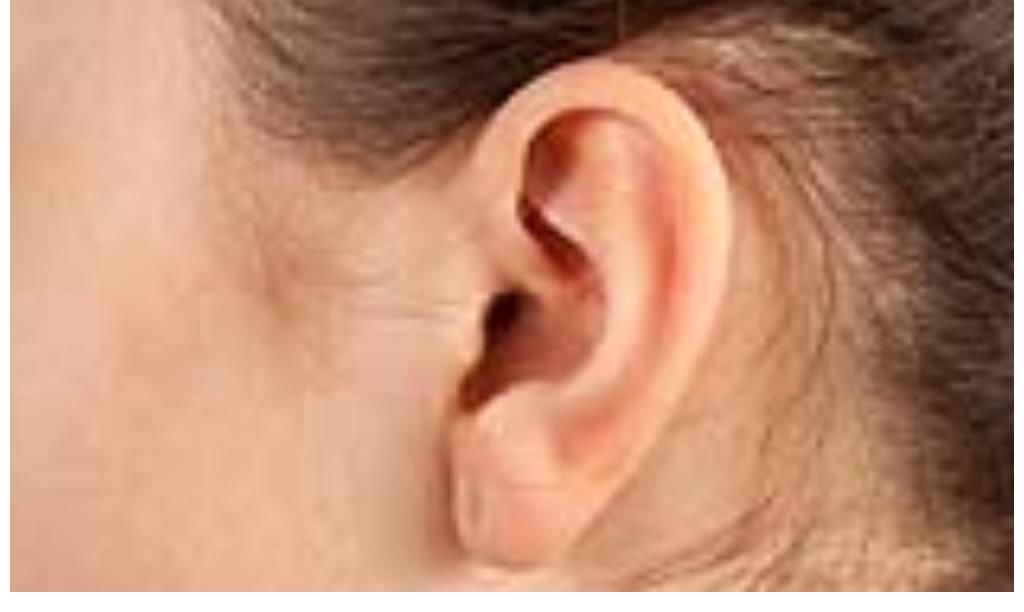 冠军|降脂“冠军”被找到,不是洋葱,你若爱吃,血管干净又通畅