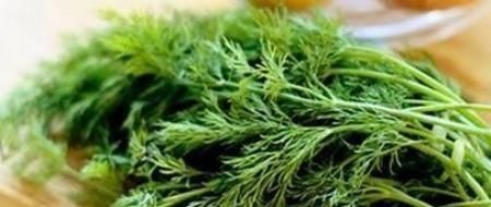 蜂蜜|幽门螺旋杆菌的“克星”终于被找到了,坚持吃胃炎,胃溃疡远离你