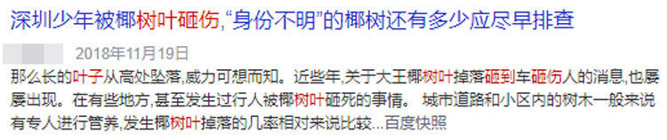 颅骨|大脑又软又糯，为什么我们可以摇晃翻滚，脑子不会烂成一团？