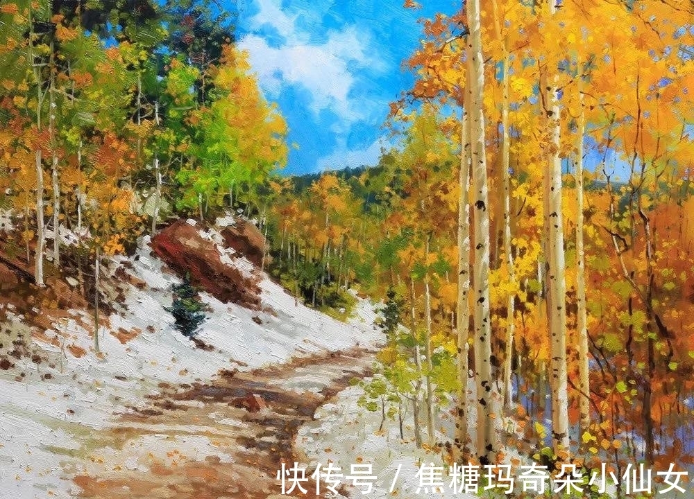 美国肖像协会!白桦林之美