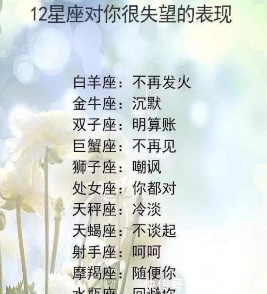 星座|不会委曲求全的星座：有能力爱自己，才有余力爱别人