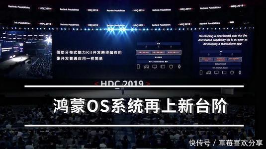 |搞笑外国人:走哪吃哪大挑战!什么地方都能藏东西?