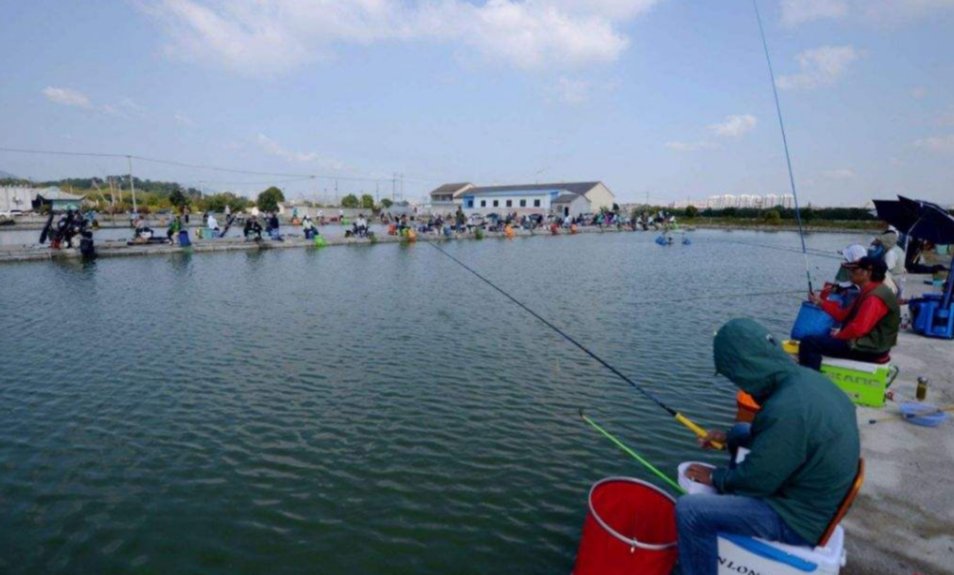 黑坑钓鱼“必杀技”麻团钓法的应用技巧分析，上鱼速度没话说