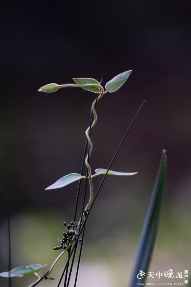 王建成|西山：点点滴滴皆风景