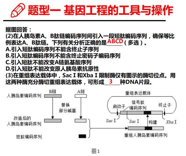 高中|高中生物：基因工程专题——基础知识+主要题型+解题技巧！