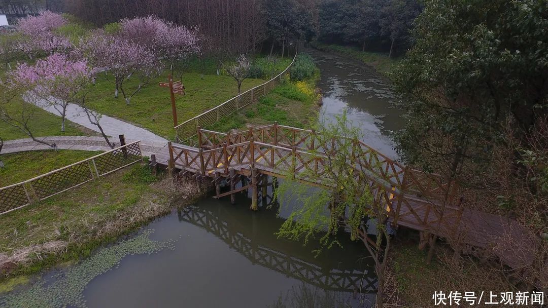 花开时节|走起~青浦这条乡村旅游学习体验线路获国家部委推荐