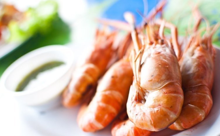 玻璃器皿|隔夜菜一定不能吃?最佳答案:除了这4种,其他吃也无妨