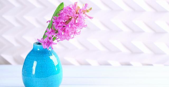 休眠期|夏天会假死的几种花,叶片枯萎也不要扔,养到秋天就能恢复生长