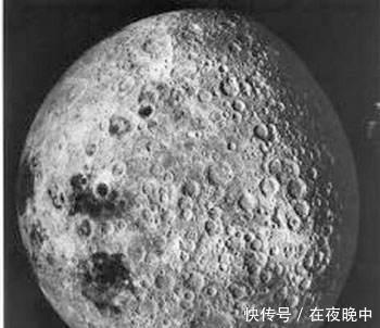 鼻子上的“白米粒”越挤越多,皮肤还会凹下去,原来是它的分泌物