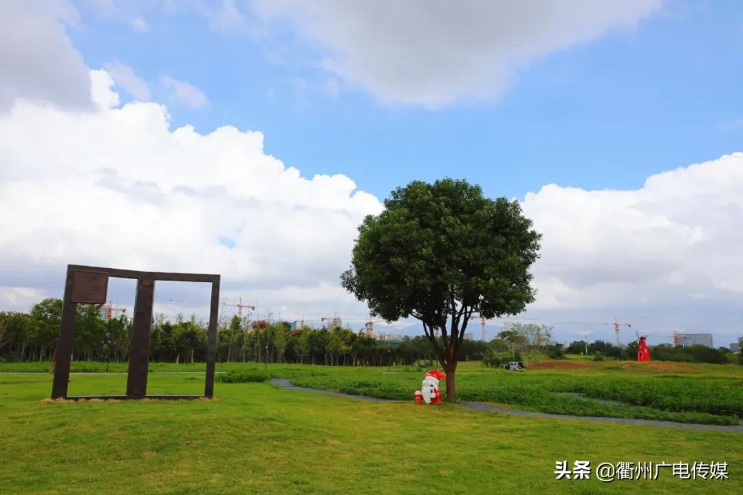 孔子花田|风车、花海、绿皮小火车……衢州这块家门口的网红打卡地宛若宫崎骏漫画！