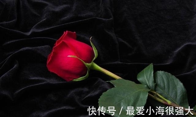 桃花运|近段时间，桃花运旺如火，良缘靠近，收获甜蜜爱情的4大星座！