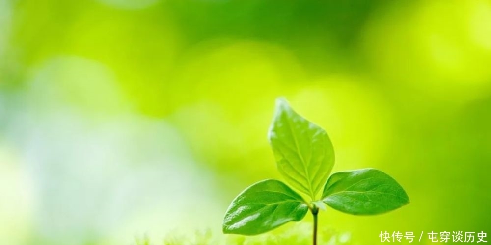 《荐读》100个一看就会一读就错的字,不信你念念