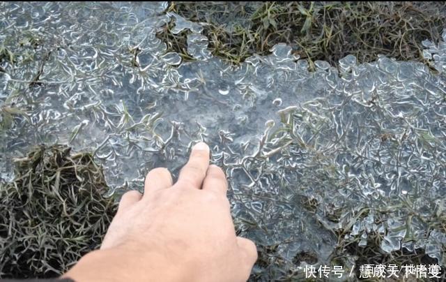 冬季钓鱼，钓浅、钓深不绝对，但这几种情况必须钓深