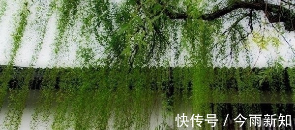 送元二使安西#王维在渭城写一首送别诗，苏轼一次失误，使其成名曲《阳关三叠》