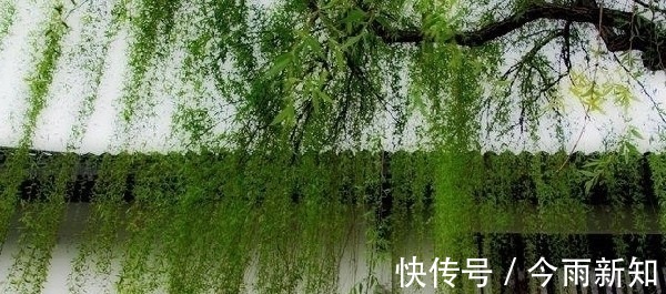 送元二使安西#王维在渭城写一首送别诗,苏轼一次失误,使其成名曲《阳关三叠》