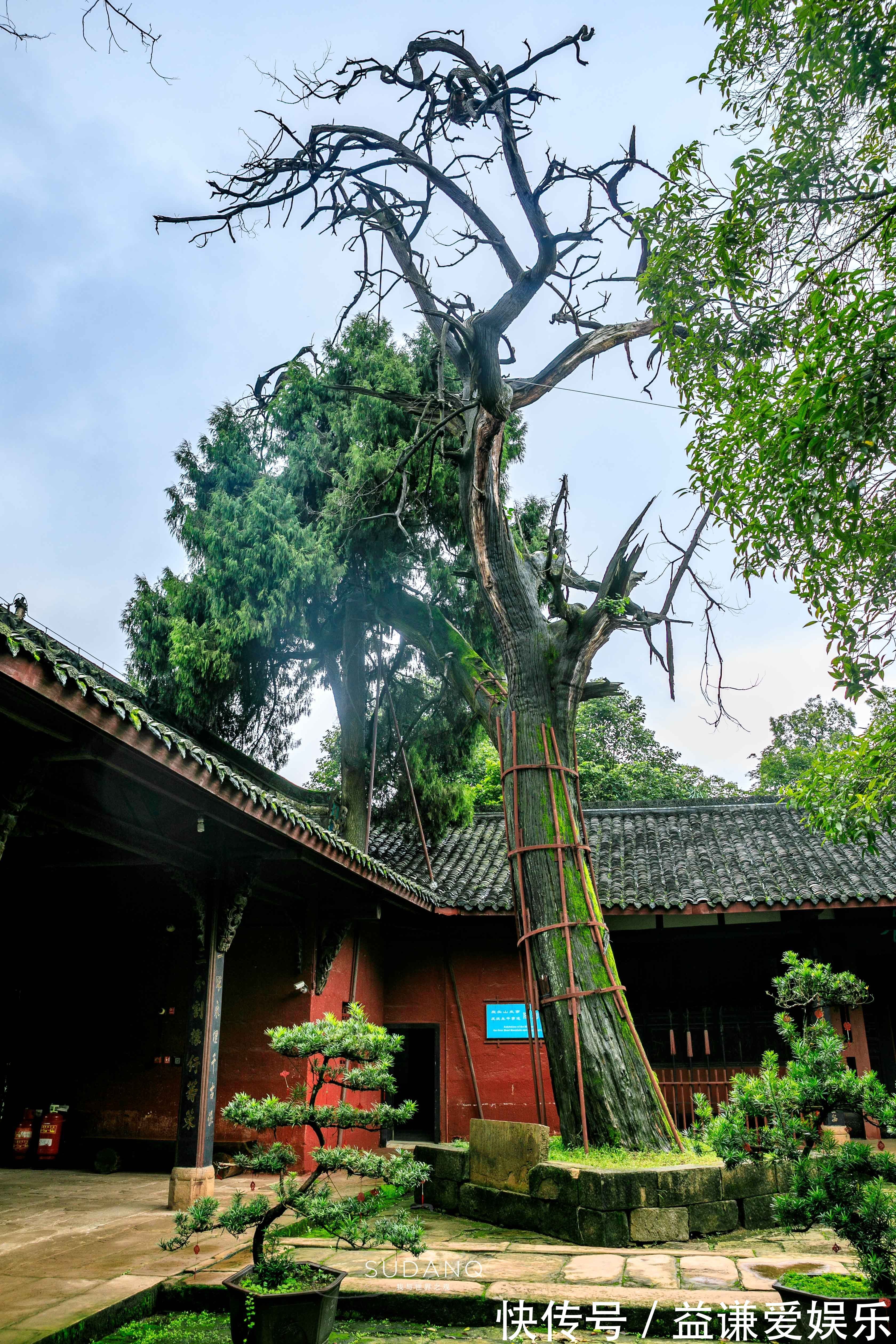 庞统祠|蜀道究竟有多难人类最早的大型交通遗存之一，已有3000年历史