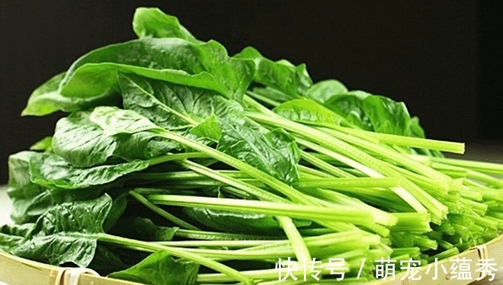 浓郁|分享一道菠菜花生卷的做法，暄软劲道，花生味浓郁，比花卷还好吃