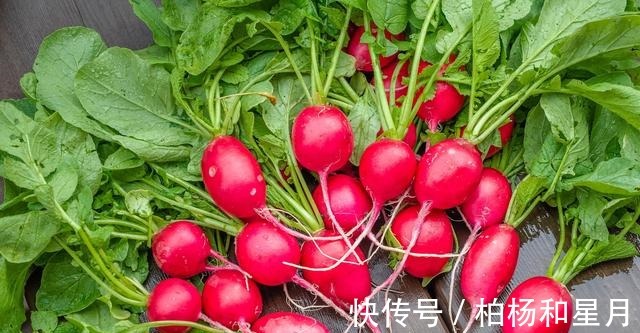 这菜正当季，钙是菠菜的4倍，铁是鳗鱼的5倍，营养高饱腹，要尝尝！