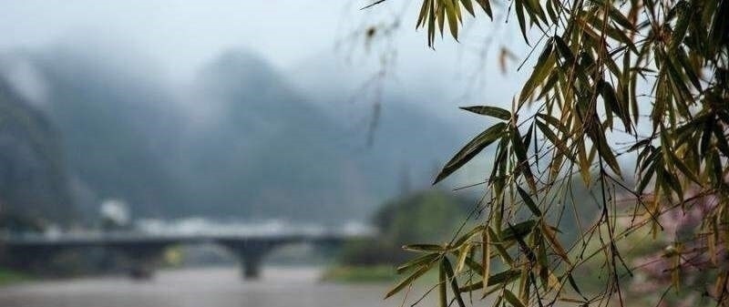 吴文英!50句美到极致的古诗词,每一句都饱含深情,总有一句击中你的内心