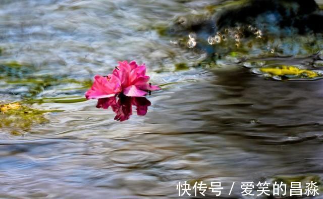 画堂|每日一词《踏莎行》赏析