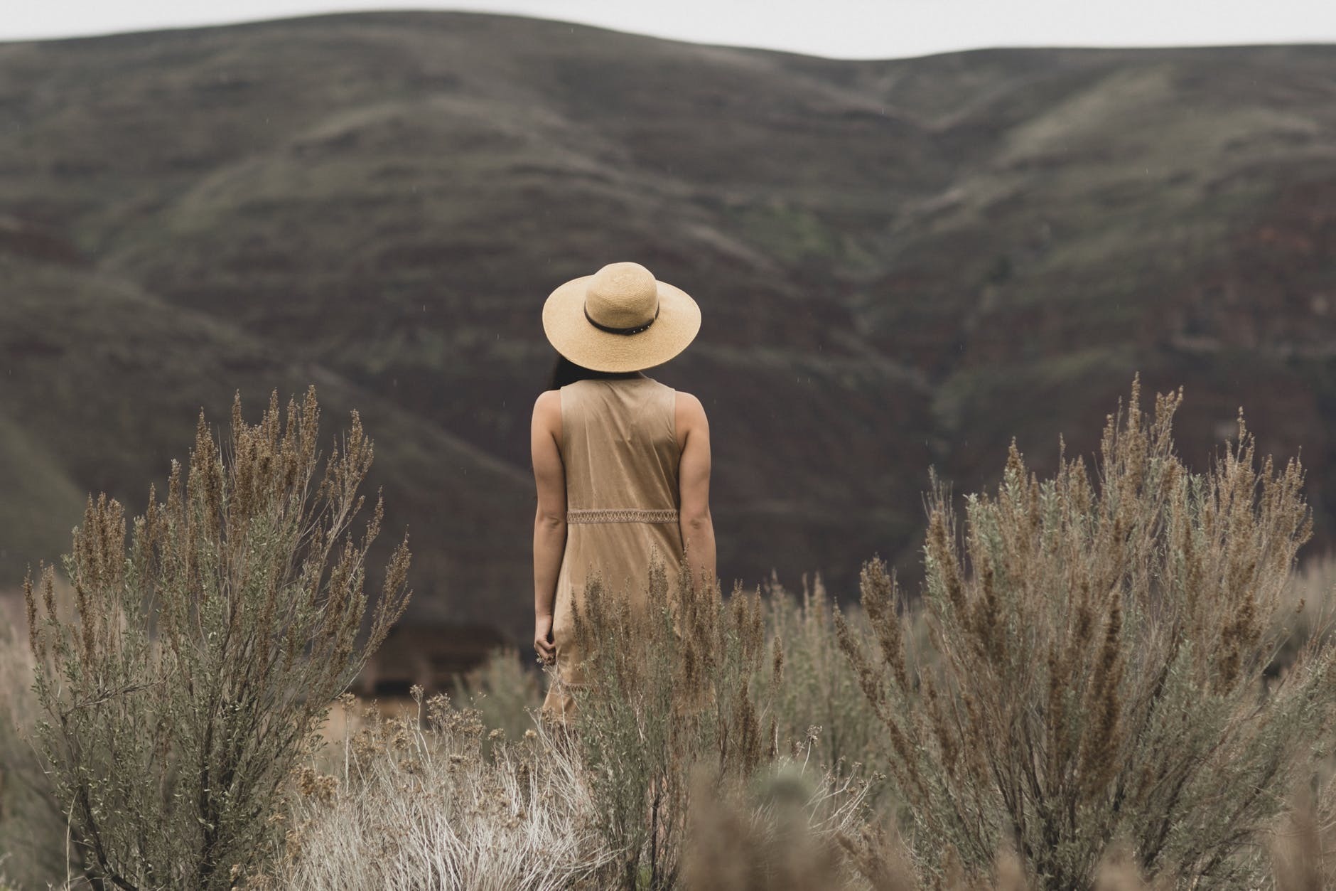 财产|父母偏心,生病后把财产全给小儿子,大儿子认栽养老也让弟弟来