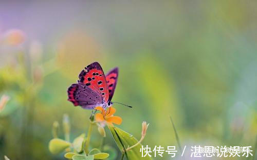 成龙成凤|阴历几月出生的孩子，为父母带来财运，男富女贵，注定成龙成凤