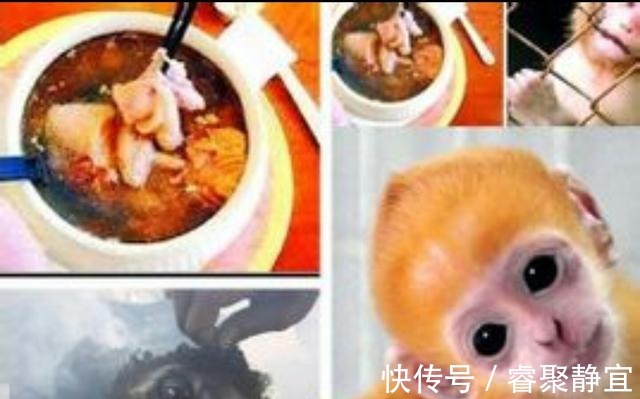 做法|大清三道菜做法吓人,慈禧吓得不敢吃,却有人能够一饱口福!