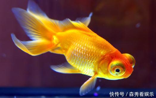 宇宙最高温度是1.4亿亿亿亿度,为何最低温度只有零下273℃