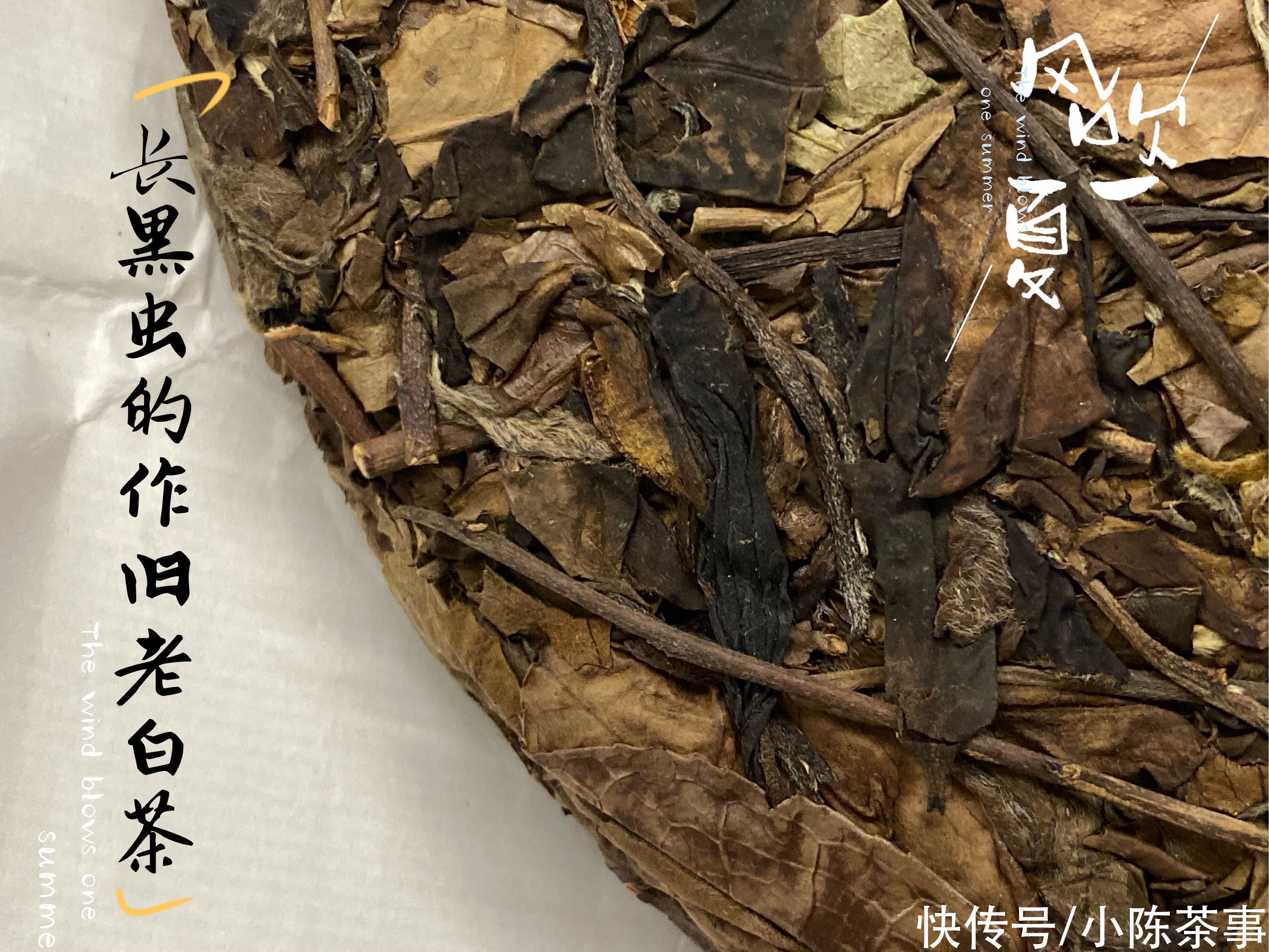 梅子味|如何光明正大卖掉堆积的劣质白茶？掌柜有新套路，已经骗了不少人