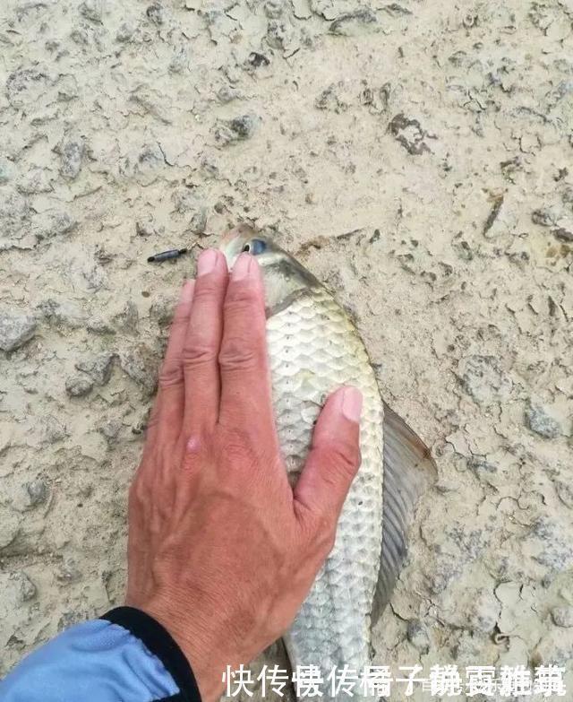 好漂|野钓精准调漂法!你与爆护差的就是这些!