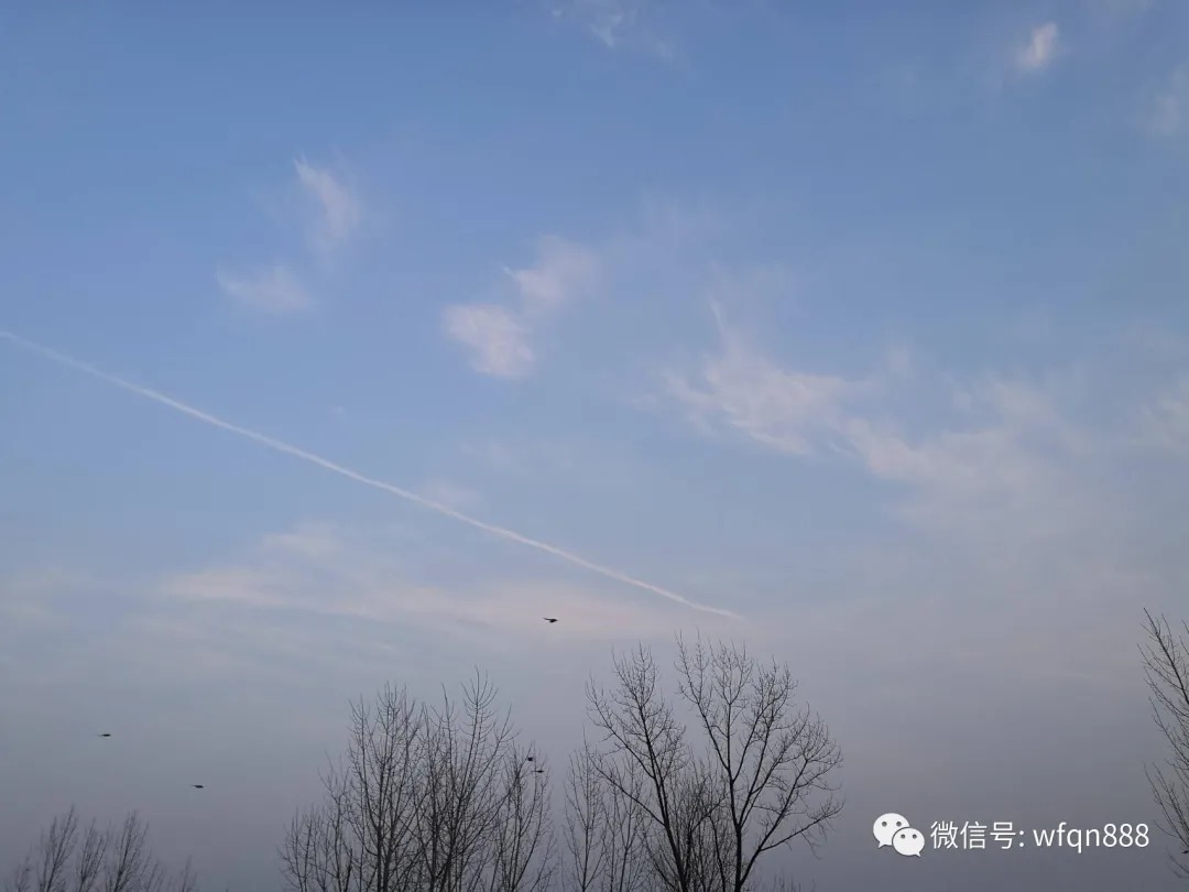 李煜&一首只写了一半的唐诗,诗人因不愿写完而落榜,短短20字惊艳世人