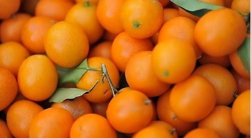 米蕉|夏季养生要会吃，推荐3种食物，排毒抗衰，润肠通便，营养又瘦身