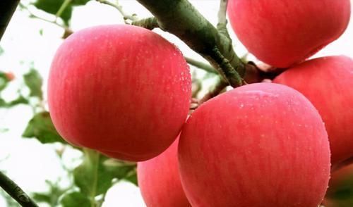 中年|每天晚上坚持吃3种食物，美白护肤、滋润身体，令人肌肤红润