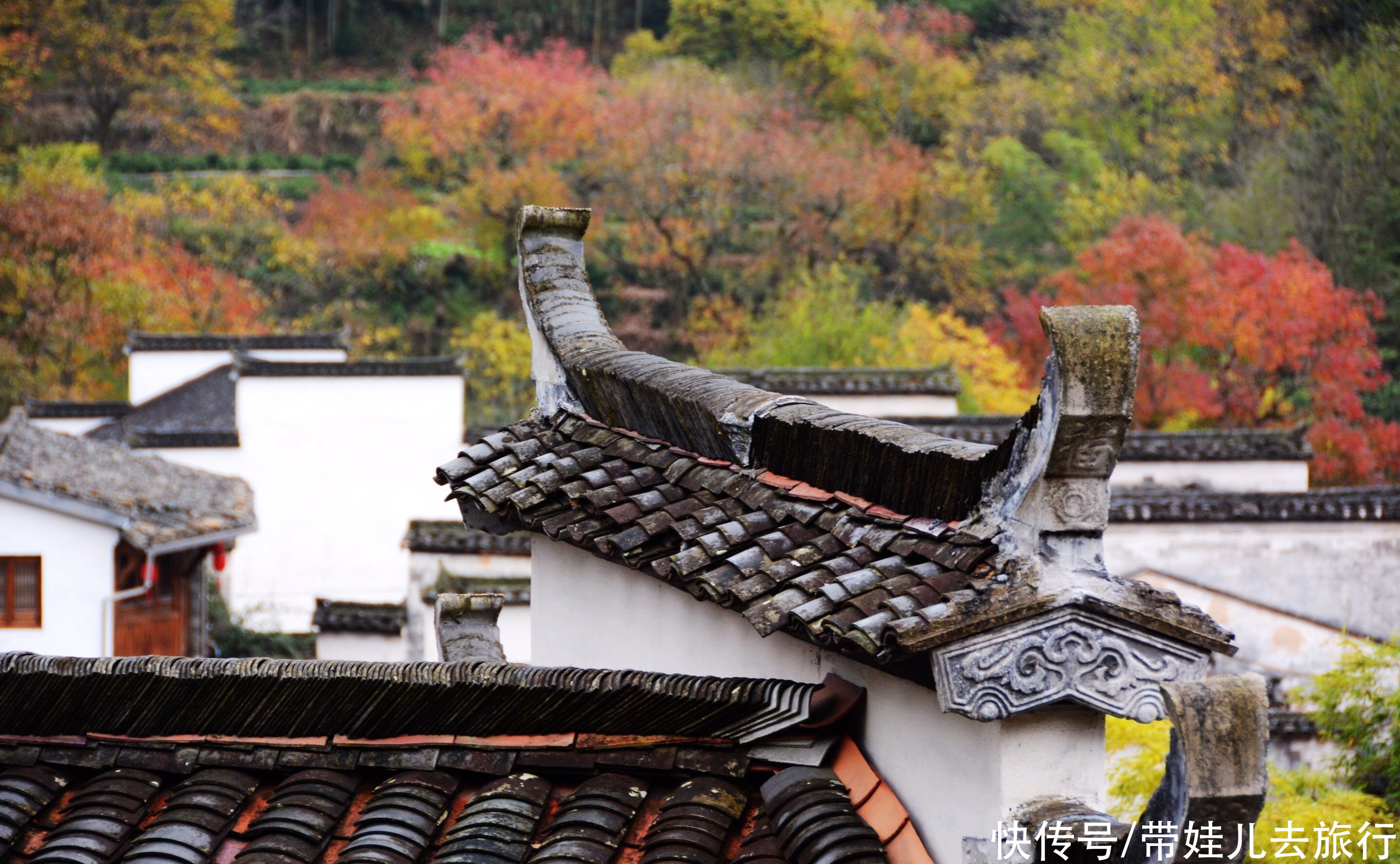 香山|中国有三大秋色观赏地，前两个是香山和九寨沟，另一个却是它