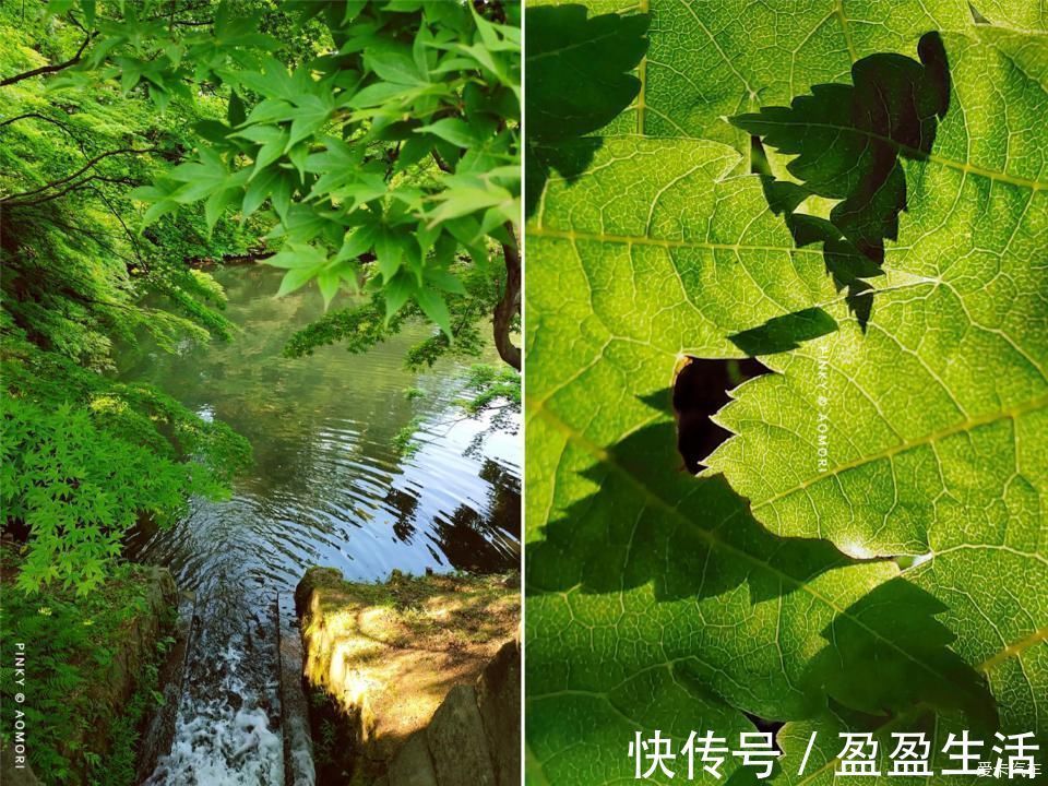 青森|日本青森夏日祭--神秘而热闹的睡魔祭