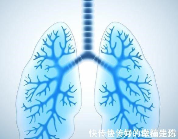 手术|如何治疗早期肺癌,可手术就尽快,不能手术的患者应该做些什么?