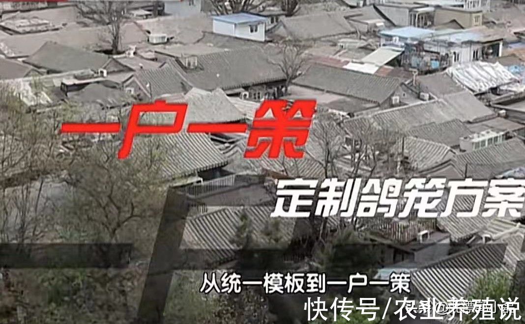 鸽子|“第五立面”该拆吗？北京居民：没事谁往高处看，相关部门必须拆