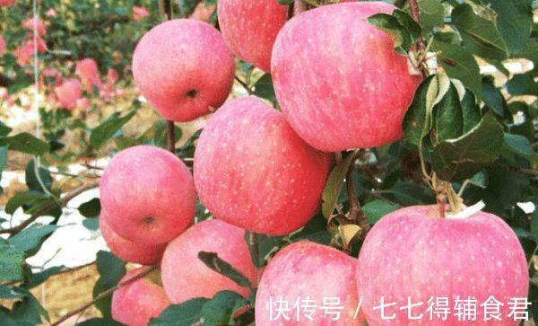 脑细胞|经常失眠怎么办?营养师:安排些食物,失眠或远离你!