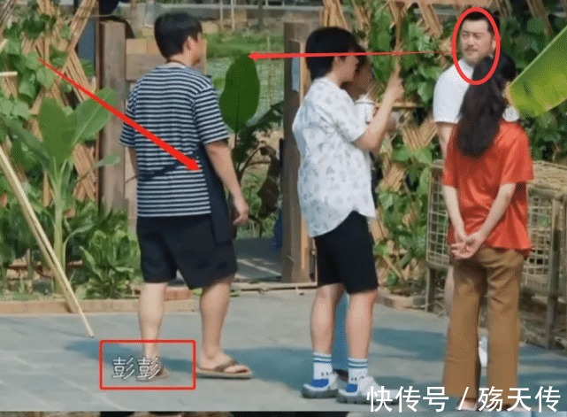 向往的生活|向往的生活何炅阻止彭昱畅上树,听清喊话内容,这才是真正威严