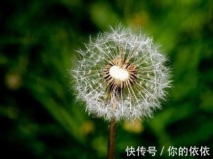 金牛|5天后，我心依旧，细数悲凉，彼此有意，旧爱和好，再度携手