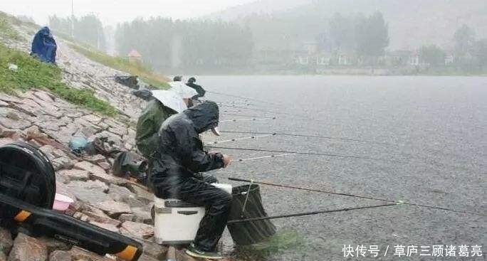 睡眠|鱼委屈:“你根本不了解我,说的就是你,整天诱我上钩的钓鱼人”