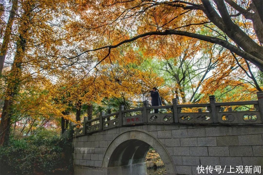 冬雨|冬雨浸润后的共青，别样动人