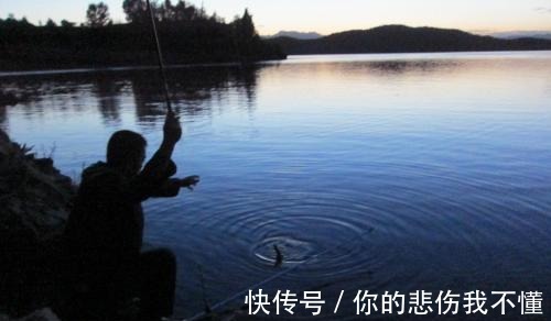 鱼饵|夜钓最好的机会来了!18条经验助你成功爆护!