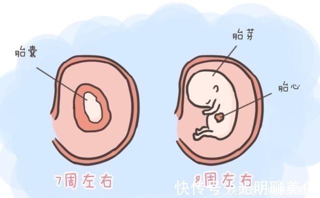 胎儿|孕早期,若孕妈能看懂报告单上的这些数据,胎宝就没什么小秘密了