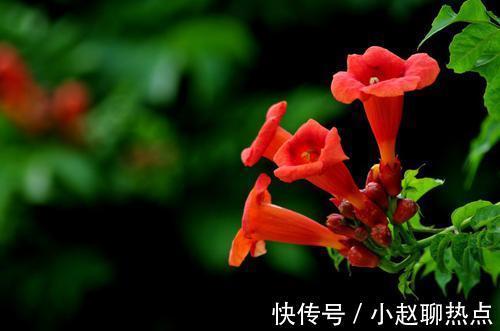 飙升|7月份，桃花运势大涨，异性缘飙升，两人情感迅速升温的生肖