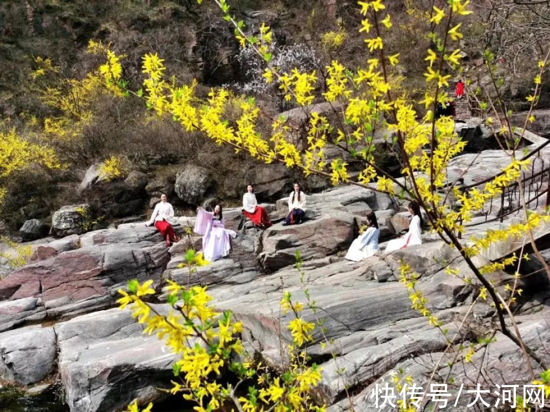 免票|河南多家景区免门票，最长免至5月31日