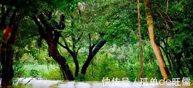 繁衍|现实中的“女儿国”，部落没有一个男性，靠着独特的方式繁衍后代